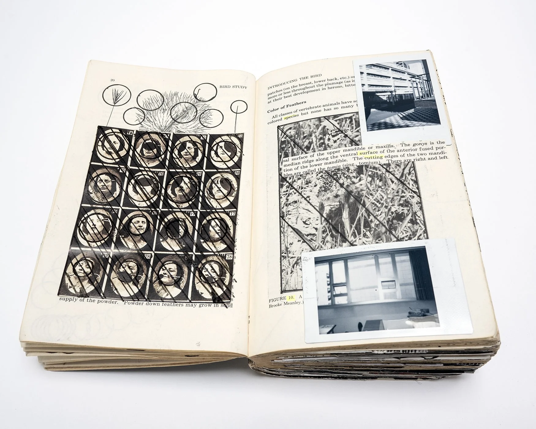 Luigi Ghirri Infinite Landscapes (First Edition) — bookdummypress